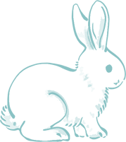 うさぎ